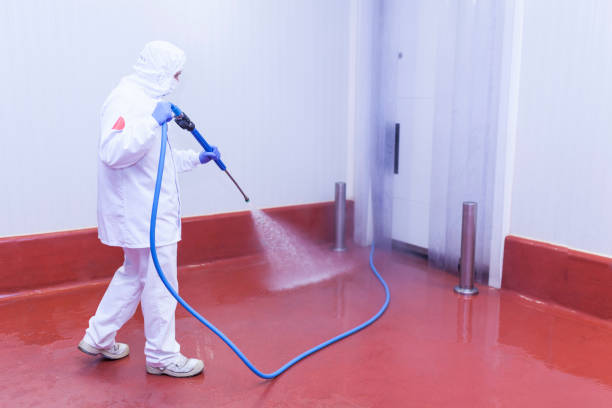 Best Graffiti Removal Services in Stockton, MO