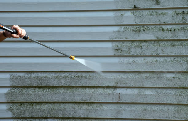 Best Sidewalk and Walkway Pressure Cleaning in Stockton, MO
